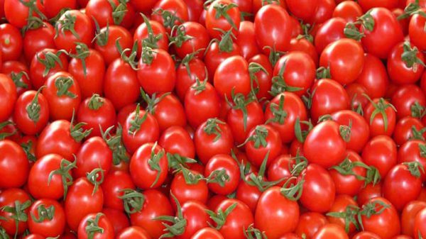 صادرات گوجه به قطر