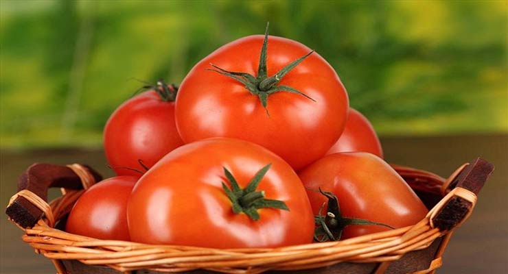 صادرات گوجه به قطر