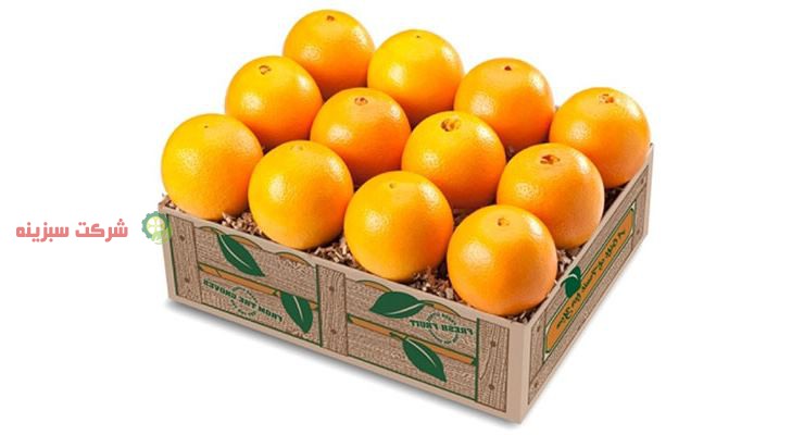 قیمت روز پرتقال در بازار میوه