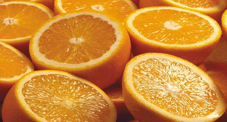 صادرات پرتقال تامسون مازندران