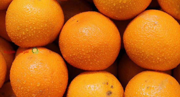 انواع پرتقال صادراتی ایران