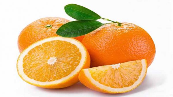 فروش پرتقال صادراتی شمال