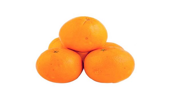 پرتقال تامسون صادراتی شمال