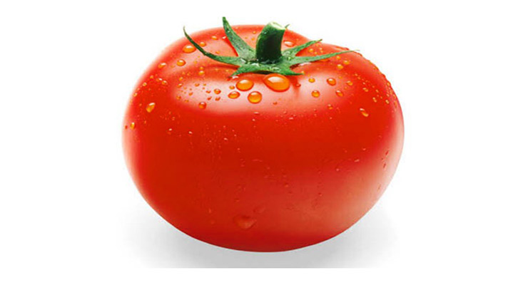 گوجه فرنگی صادراتی گلخانه