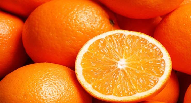 قیمت پرتقال شمال