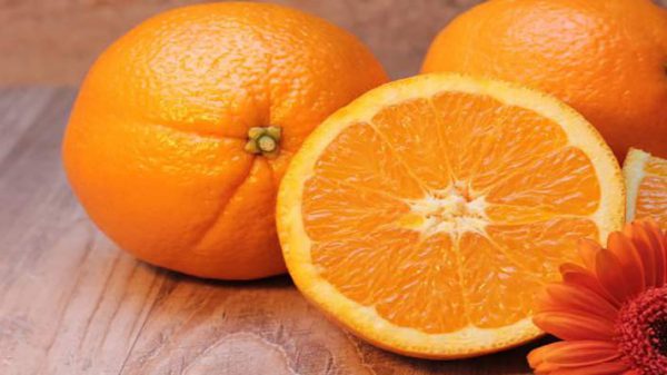 نمایندگی صادرات پرتقال