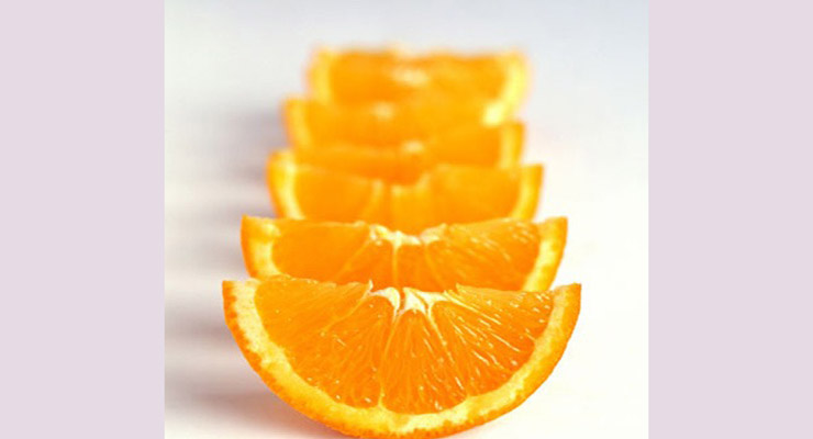 صادرات پرتقال تامسون شمال