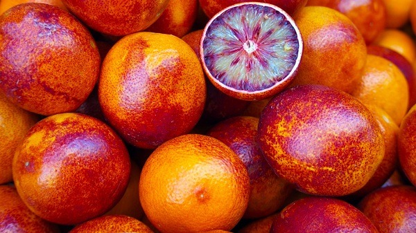 پرتقال خونی صادراتی