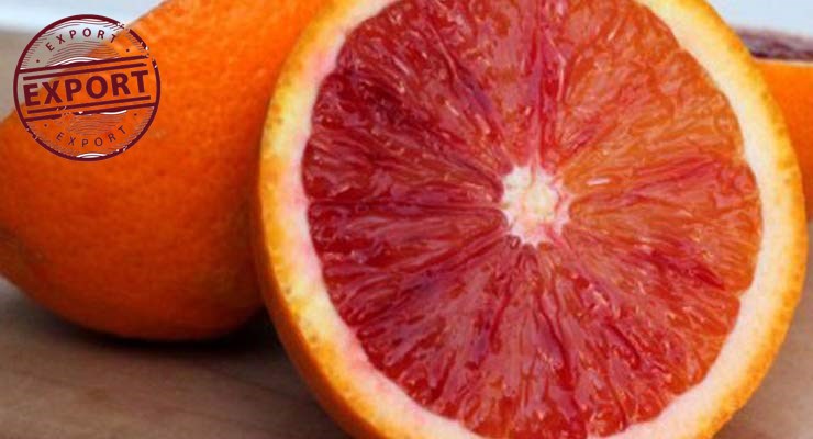 نرخ روز پرتقال خونی