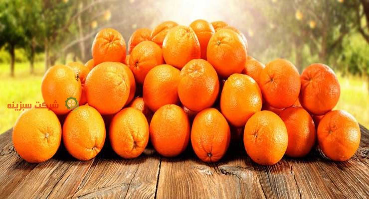 بسته بندی پرتقال جهت فروش در بازار