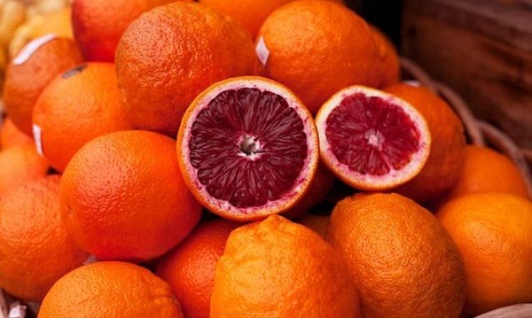 خرید ارقام پرتقال توسرخ ایرانی برای صادرات
