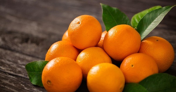 صادرات پرتقال مازندران با بهترین قیمت فروش