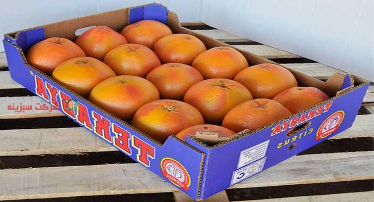 صادرات پرتقال درجه یک ایران
