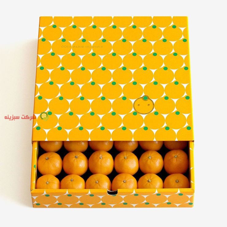 برداشت و بسته بندی پرتقال تامسون مازندران