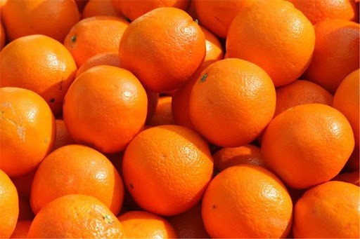 نرخ روز پرتقال تامسون در شمال