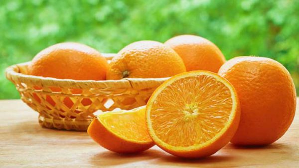ارقام پرتقال توسرخ ایرانی