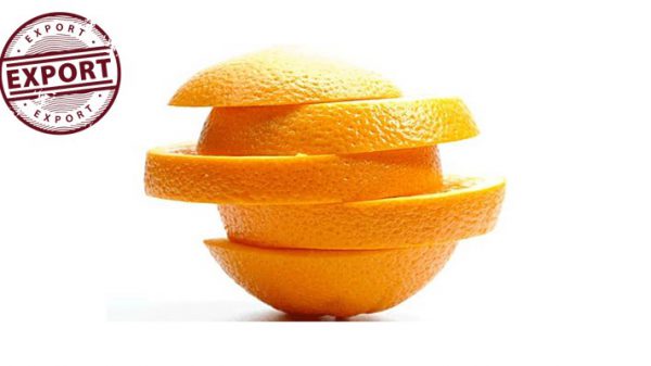 قیمت پرتقال در آستانه عید