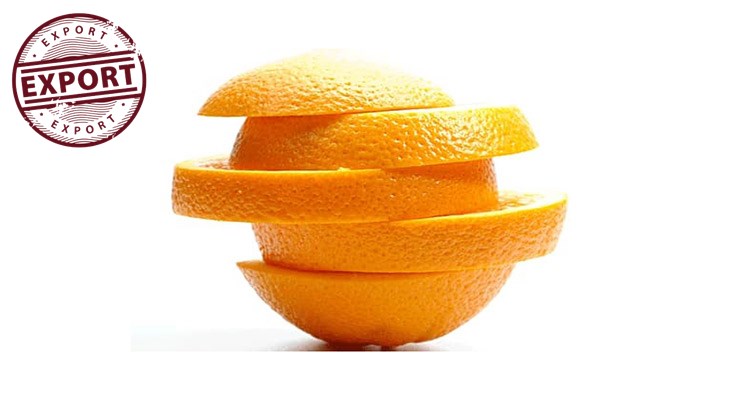 قیمت پرتقال در آستانه عید