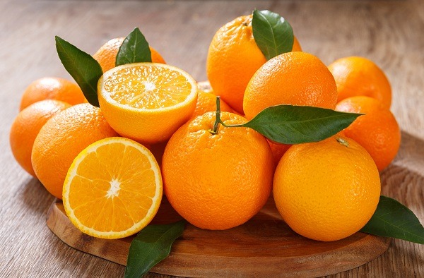 خرید عمده پرتقال تامسون قائمشهر