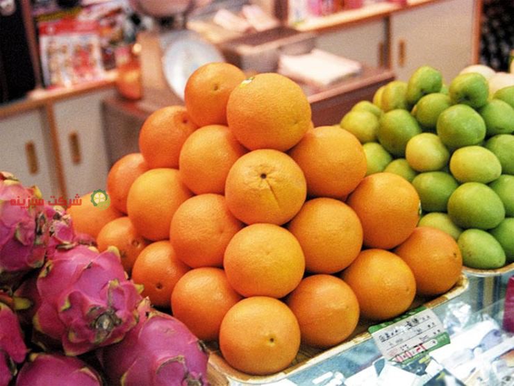 صادرات عمده پرتقال بسته بندی شده