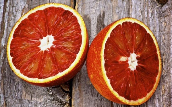 فروشنده بهترین نوع پرتقال خونی