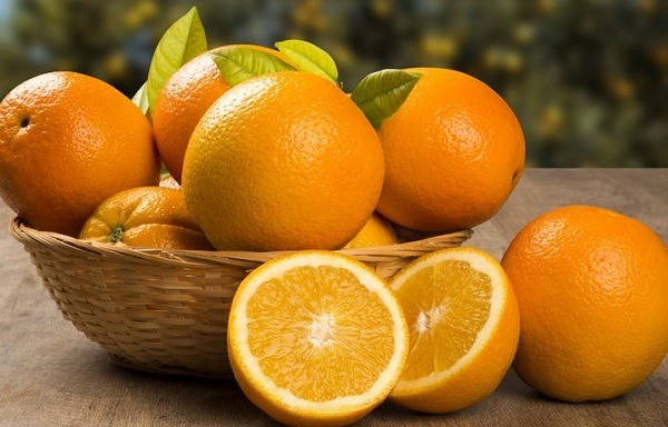 قیمت پرتقال امروز