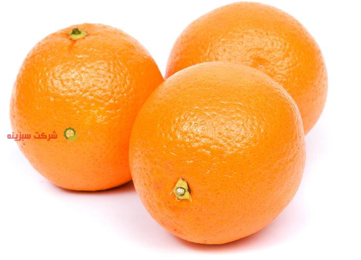 فروش پرتقال های با کیفیت شمال