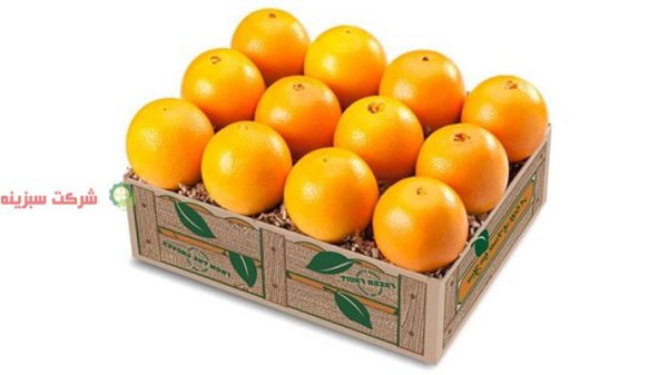 قیمت خرید پرتقال شمال