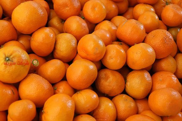 قیمت نارنگی محلی