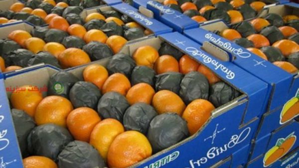 قیمت نارنگی ژاپنی