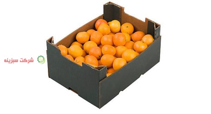 قیمت روز نارنگی ژاپنی