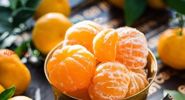 سایت فروش نارنگی ژاپنی به قیمت روز