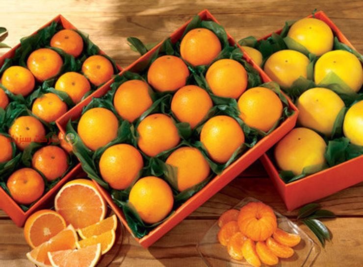 بسته بندی کردن انواع پرتقال