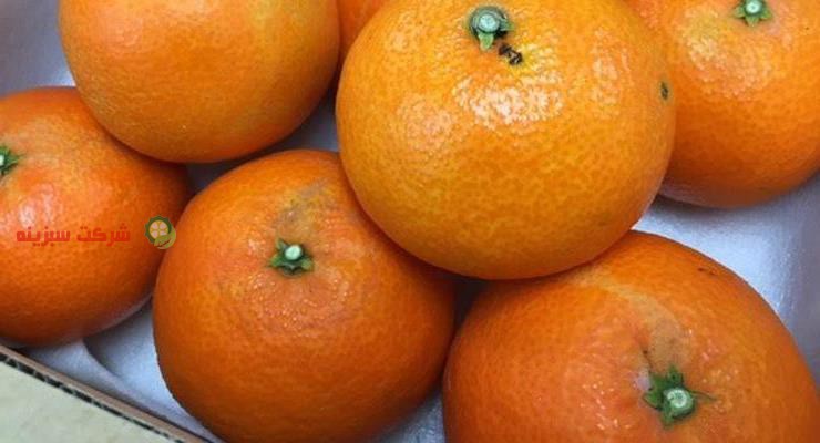 فروش نارنگی در ساری از طریق سایت