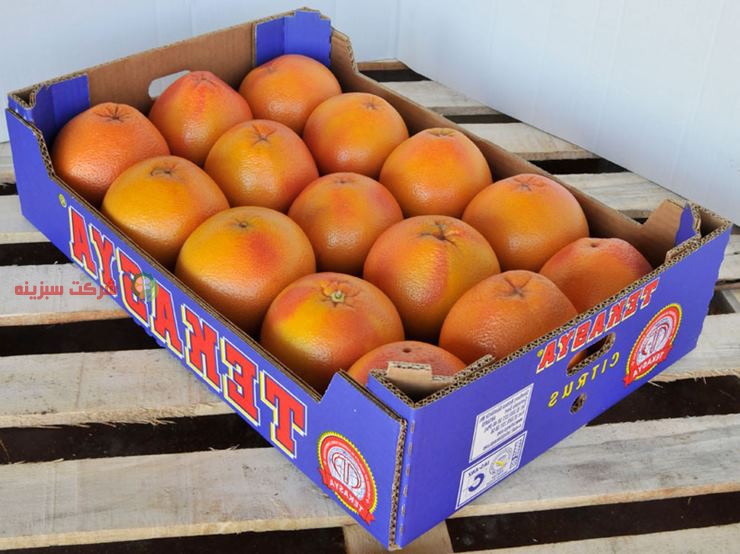 قیمت روز پرتقال صادراتی جنوب درجه یک