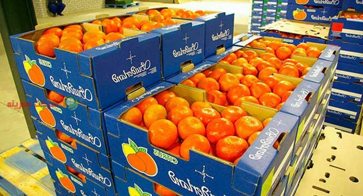 خصوصیات پرتقال مرغوب جهت صادرات