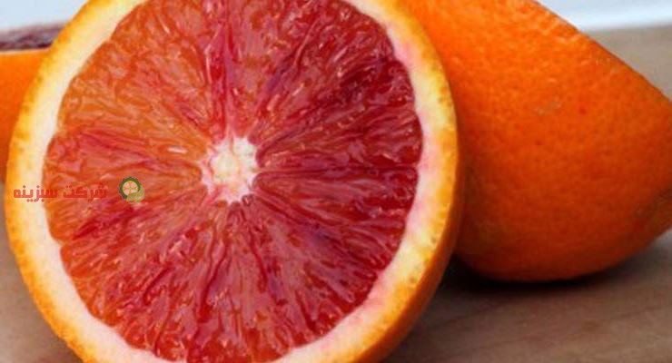 ویژگی ها وتفاوت های پرتقال تو سرخ