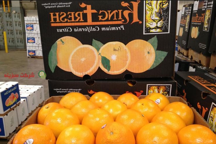پرتقال تولید شده در قائمشهر