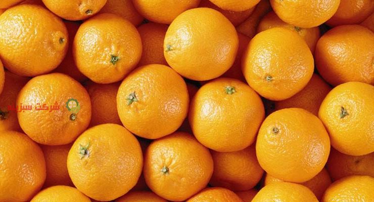 هزینه صادرات مرکبات از سورتینگ پرتقال قائمشهر