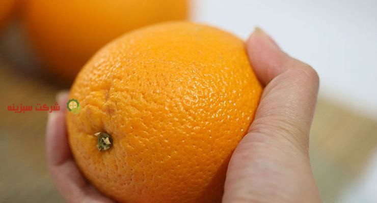 صادرات پرتقال جنوب درجه یک با شرایط مختلف