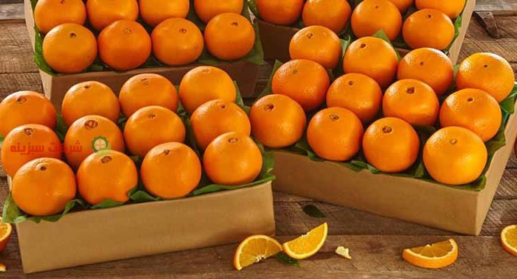 توزیع پرتقال در بازار