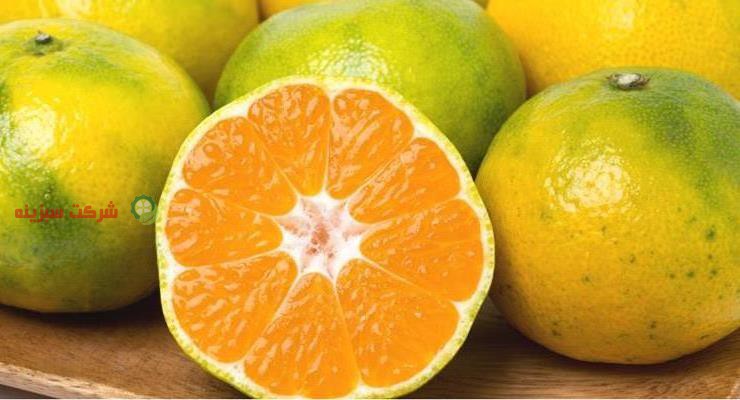 قیمت خرید نارنگی ژاپنی در بازار تهران