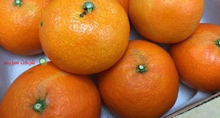 استعلام قیمت روز هر کیلو نارنگی