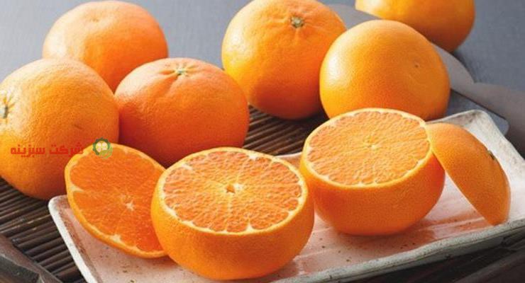 قیمت خرید نارنگی پاکستانی از باغدار