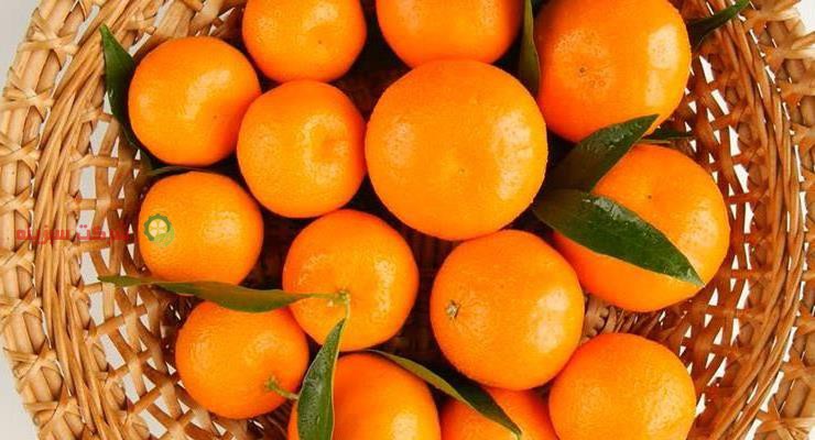 سایت خرید و فروش نارنگی