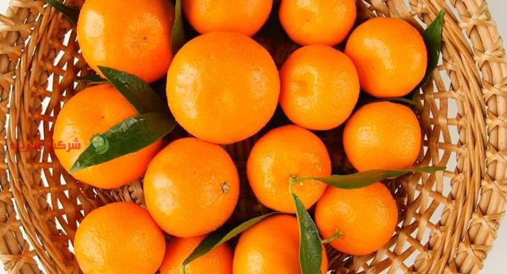 قیمت نارنگی در ساری
