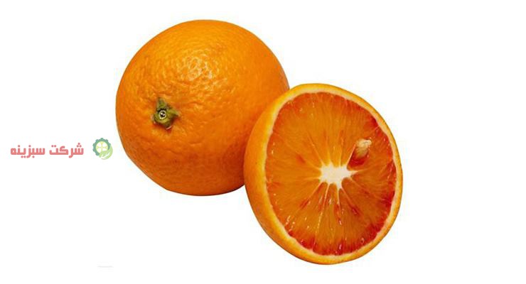 ویژگی ها وخواص پرتقال خونی