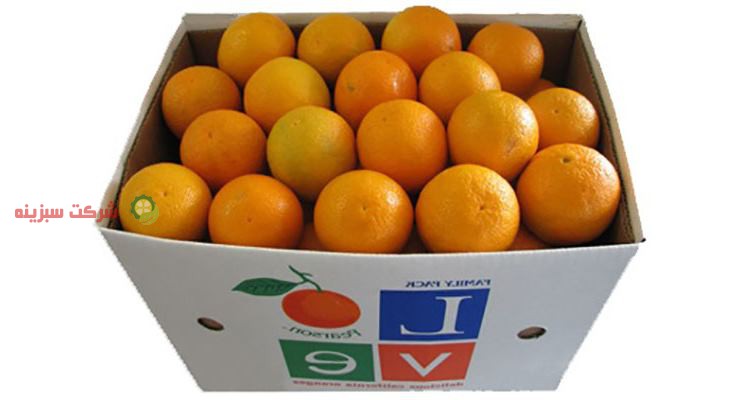 بسته بندی پرتقال صادراتی والنسیا