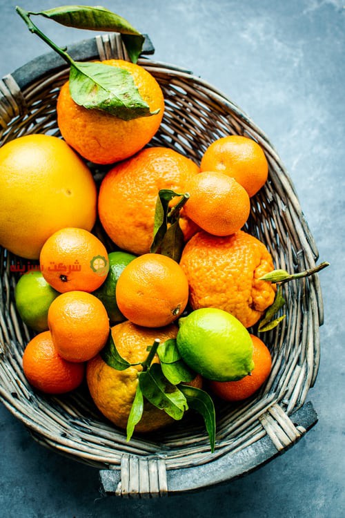 قیمت پرتقال صادراتی به دبی