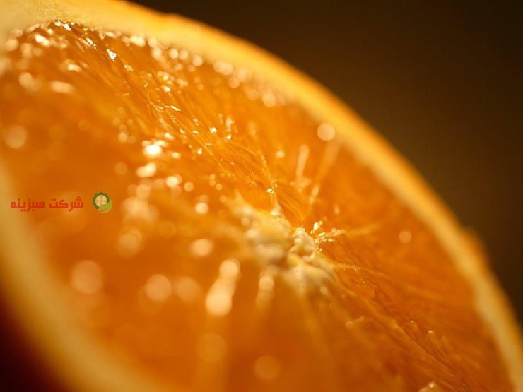 سایت فروش پرتقال صادراتی